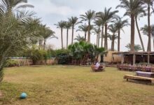 رحلات اليوم الواحد في مصر: أفكار قوية للهروب من الزحام دون إجازة طويلة