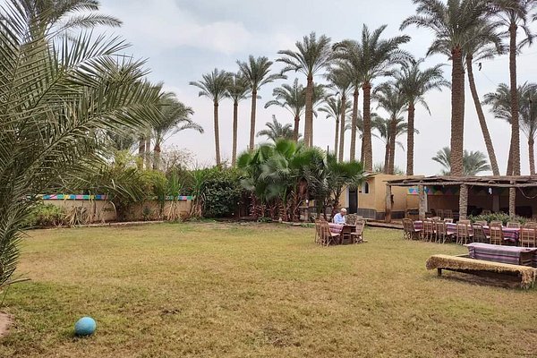 رحلات اليوم الواحد في مصر: أفكار قوية للهروب من الزحام دون إجازة طويلة