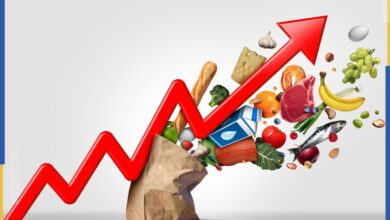 لماذا ترتفع أسعار الغذاء؟ رحلة السلعة من المزرعة إلى المستهلك