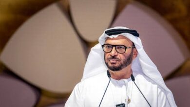 حادثة فلاي دبي تحت المجهر الخليجي.. ماذا تكشف تصريحات قرقاش عن معادلة الأمن ومواجهة التطرف؟
